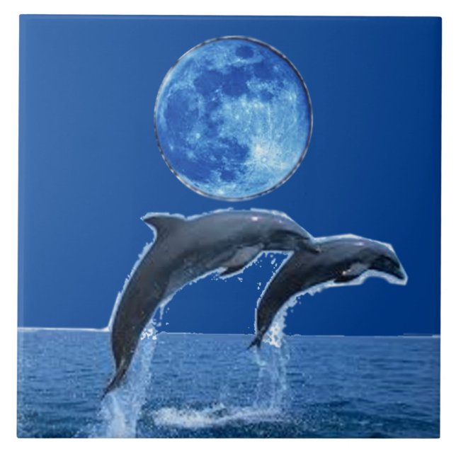 Tejas del delfín (Frente)