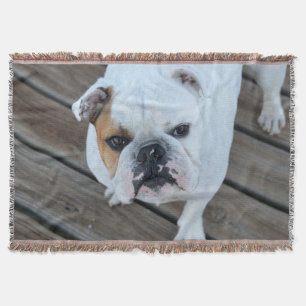 Tejida Manta inglesa del tiro del bulldog