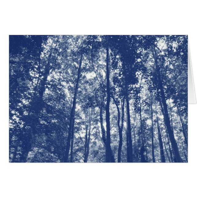 Tejido de bosques - Efecto cianotipio (Anverso (Horizontal))