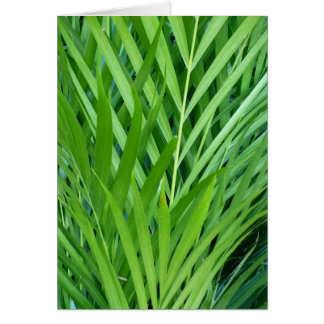 Tejido en verde