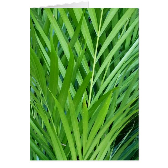 Tejido en verde (Frente)