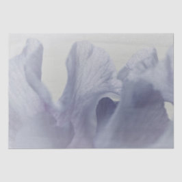 Tejido. Papel (2) Establece Petales Iris blandos e