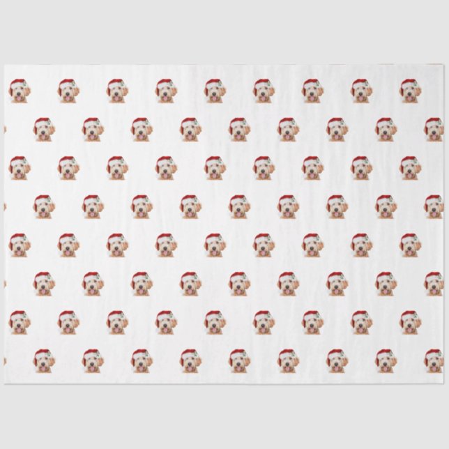 Tejido Papel de oro de Navidades (Anverso)