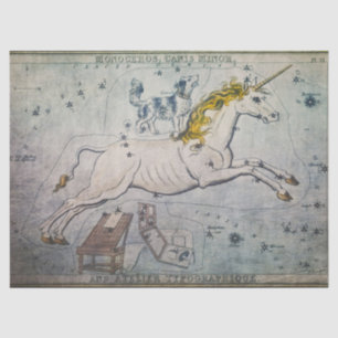Tejido unicornio o papel de descomposición