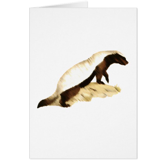 tejón de miel (Frente)