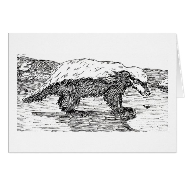 Tejón de miel o Ratel (Anverso (Horizontal))