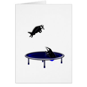 tejones trampolining