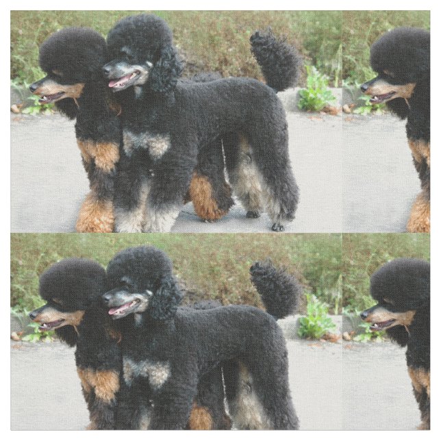 Tela 2 caniches llenos (De cerca)