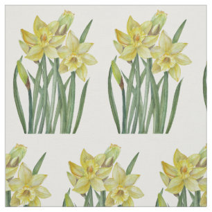 Tela Acuarela Amarillo Daffodils Ilustracion Botánico