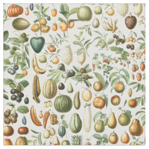Tela Adolphe Millot Fruits