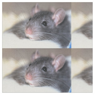 Tela Adorable