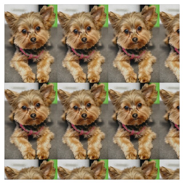 Tela Adorable (Retal)