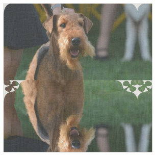 Tela Airedale lindo Terrier