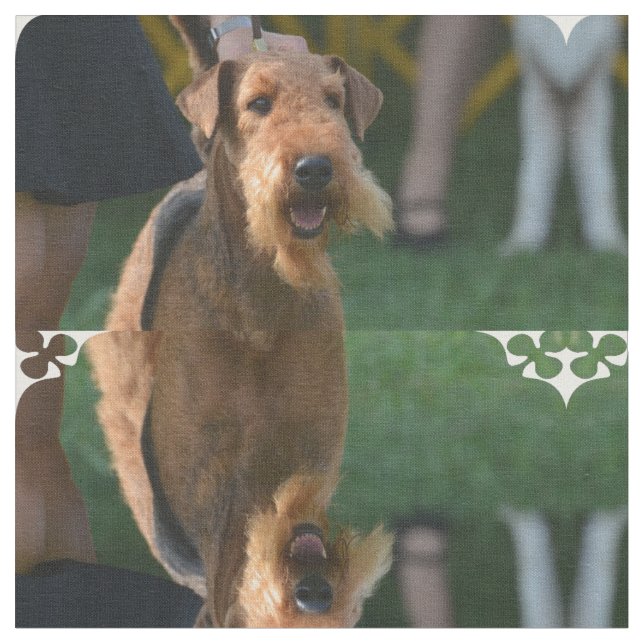 Tela Airedale lindo Terrier (De cerca)