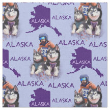Alaska Musher Y Sus Perros