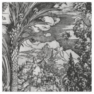Tela Albrecht Dürer blanco y negro