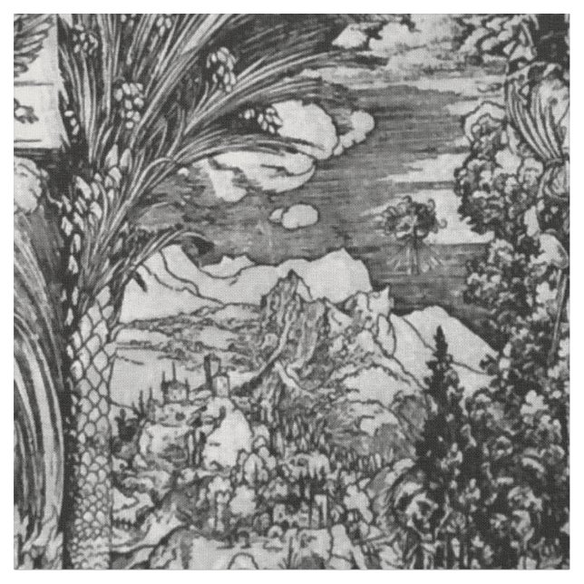 Tela Albrecht Dürer blanco y negro (De cerca)