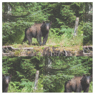 Tela Alfa Black Bear