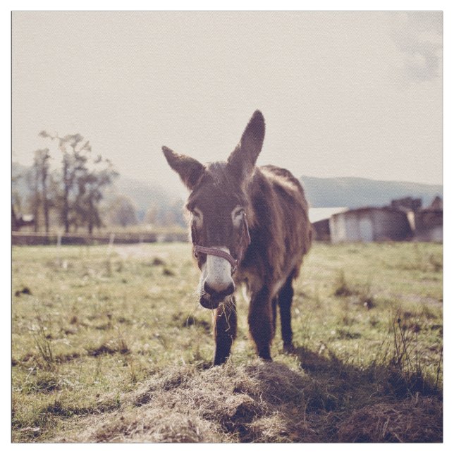 Tela Alimentación del burro (Retal)