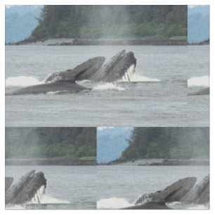 Tela Alimentando ballenas jorobadas
