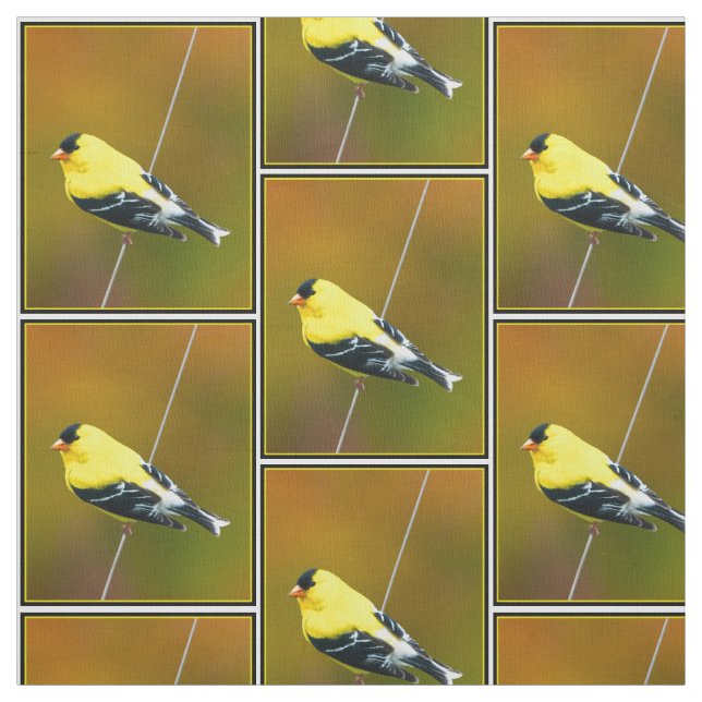 Tela American Goldfinch - Fotografía original (Retal)