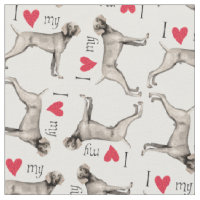 Amo a mi Weimaraner