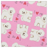 Amo mi Bichon