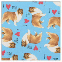 Amo mi collie