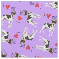 Amo mi Rat Terrier