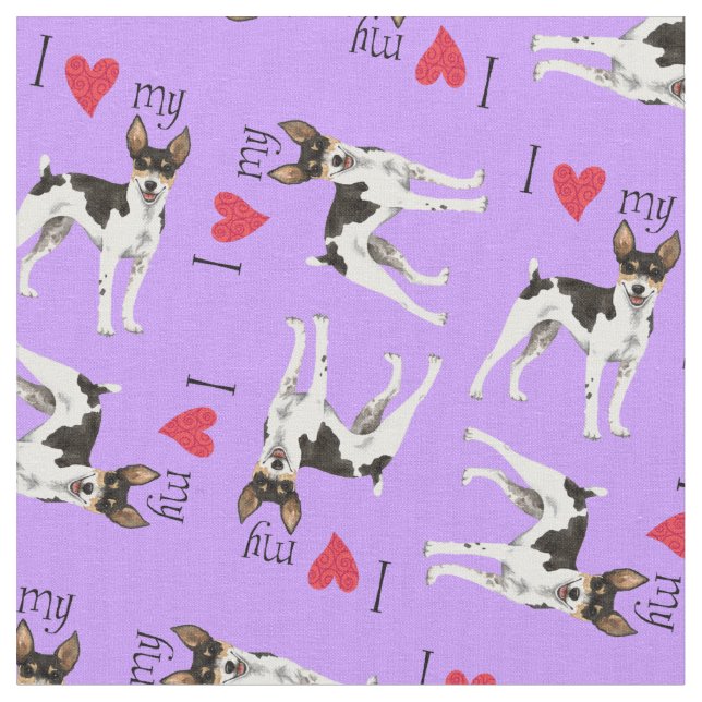 Tela Amo mi Rat Terrier (De cerca)