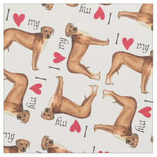 Tela Amo mi Rhodesian Ridgeback