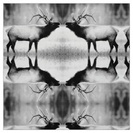 Tela Anciano blanco y negro