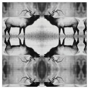 Tela Anciano blanco y negro