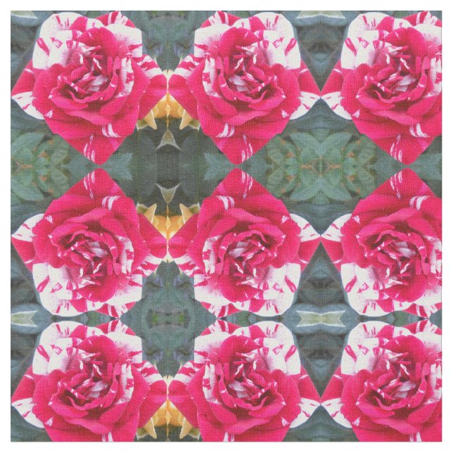 Tela Anicia (De cerca)