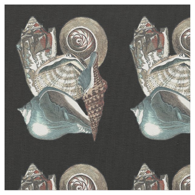 Tela Antología del Seashell (De cerca)