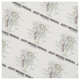 Tela Apenas siendo humor anatómico renal de Nephron