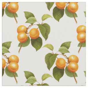 Tela Apricots