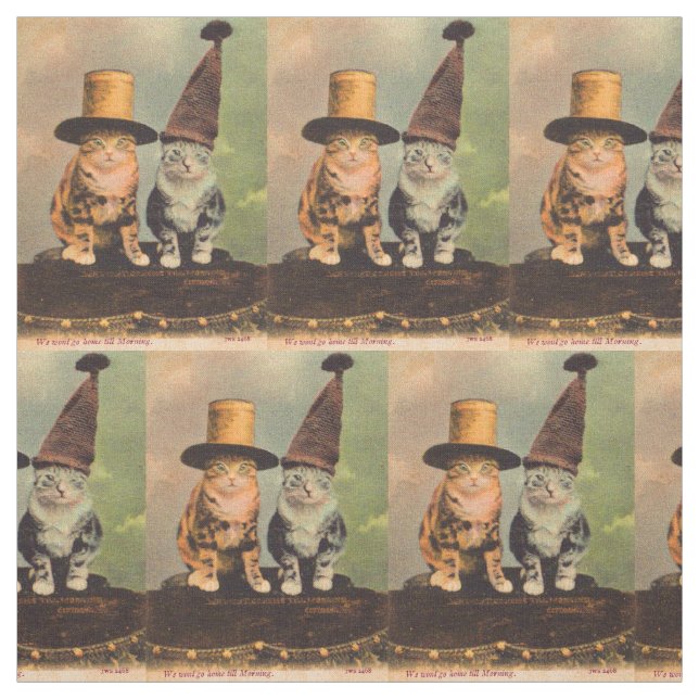 Tela aproximadamente 1900 gatos en gorras RPPC (Retal)