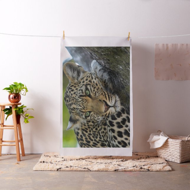 Tela Aqua_Leopard_20180101_by_JAMColors (In Situ)