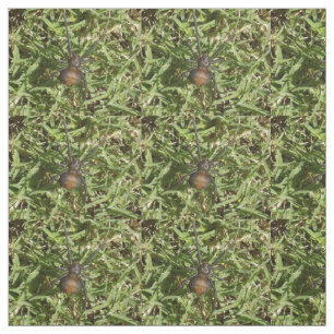 Tela Araña De Reproducción En La Grasa Verde,