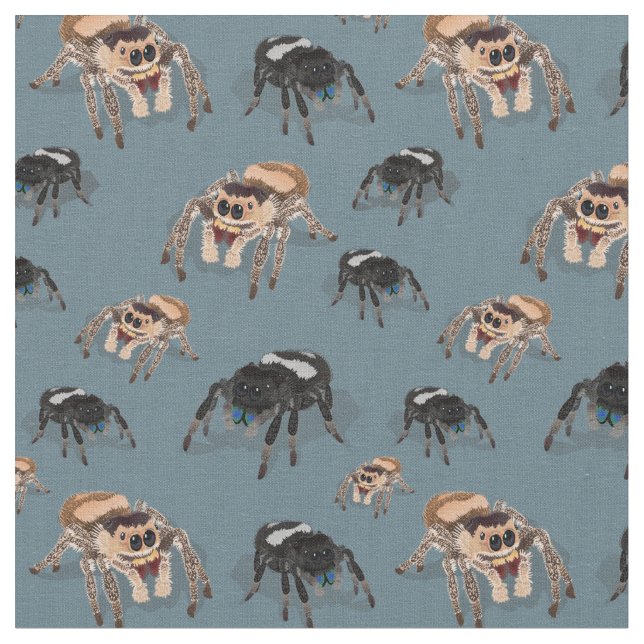 Tela Araña Regal Jumping Phiddipus Regius (De cerca)