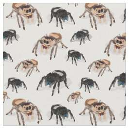 Tela Araña Regal Jumping Phiddipus Regius Blanco