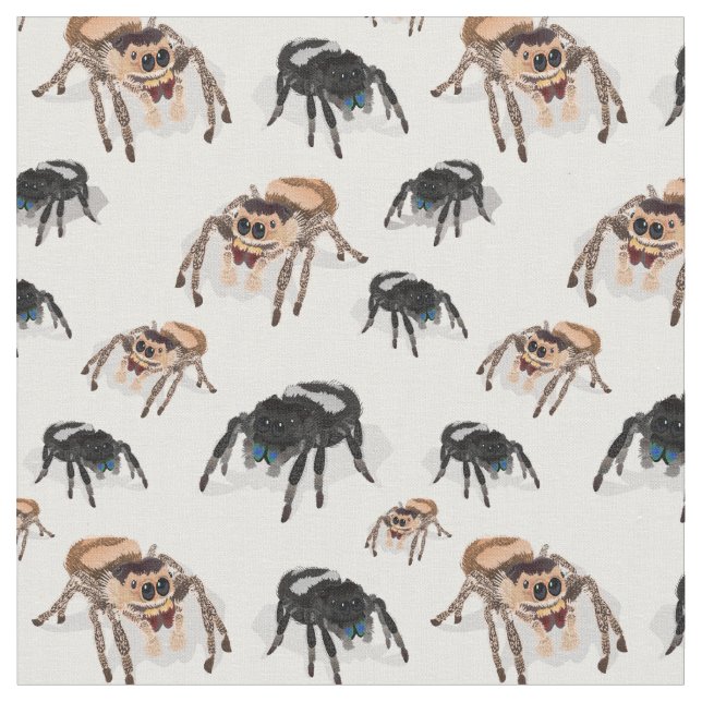 Tela Araña Regal Jumping Phiddipus Regius Blanco (De cerca)