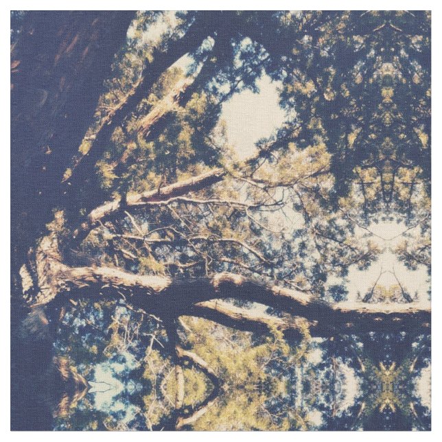 Tela Árbol (De cerca)