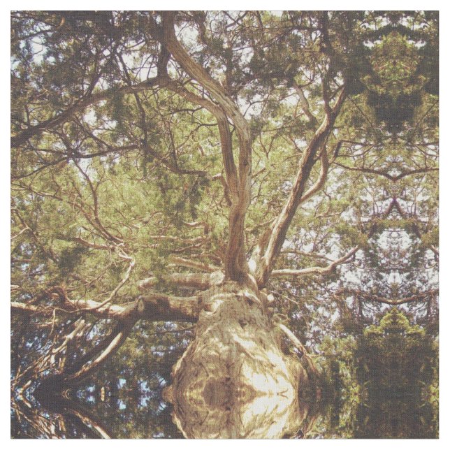 Tela Árbol reflejado (De cerca)