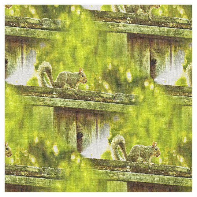 Tela Ardilla (De cerca)