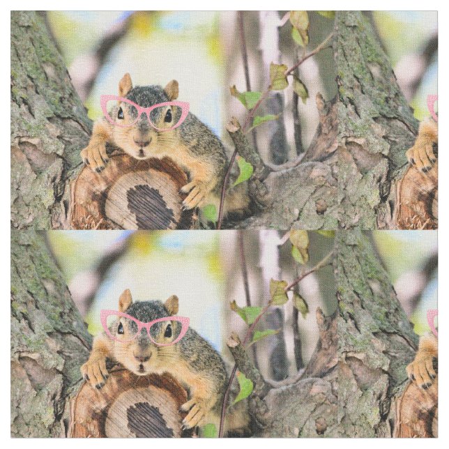 Tela ardilla de moda (De cerca)