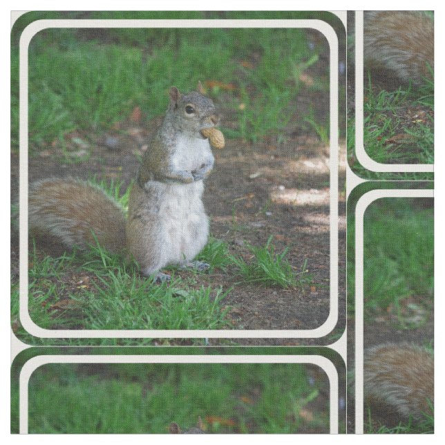 Tela Ardilla tonta (De cerca)