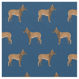 Tela Armada de perros belga malinois