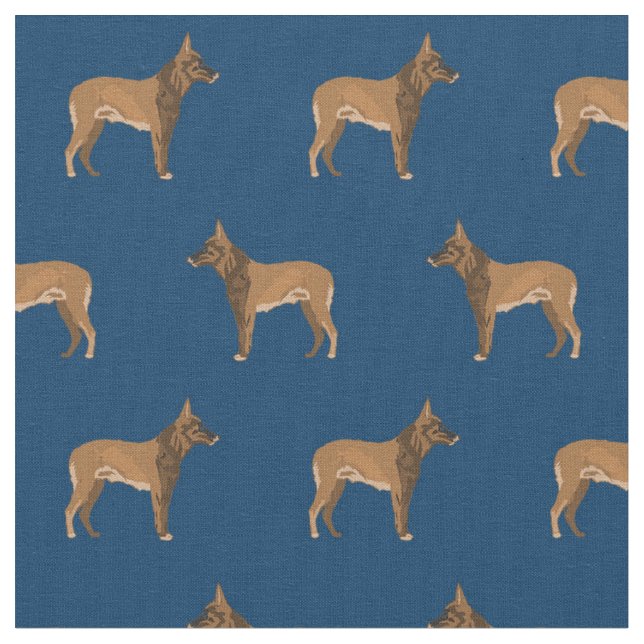Tela Armada de perros belga malinois (De cerca)